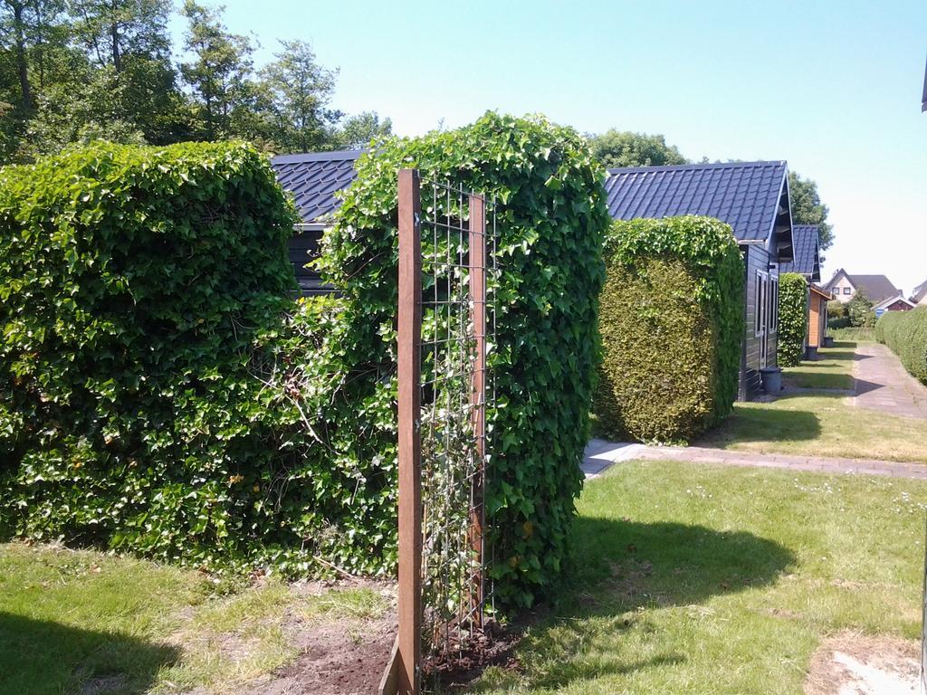 Bed & Breakfast Meinsma Moddergat Экстерьер фото